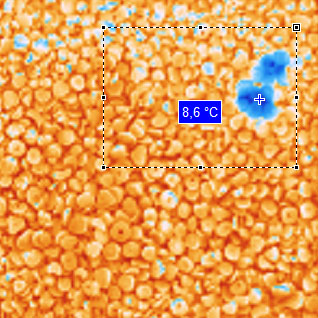 德國(guó)DIAS紅外掃描熱像儀PYROLINE256Protection熱圖像